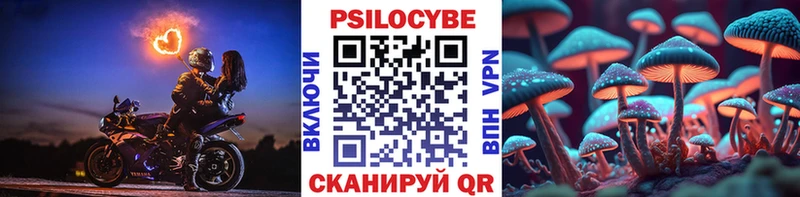 Псилоцибиновые грибы Psilocybine cubensis  где найти   Сретенск 